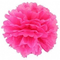 Помпон Фуше