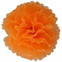 Помпон Оранжевый
