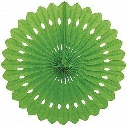 Диск Зеленый 41 см