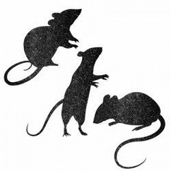 Баннер комплект Мыши блеск