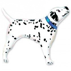 Шар фигура Далматин настоящий