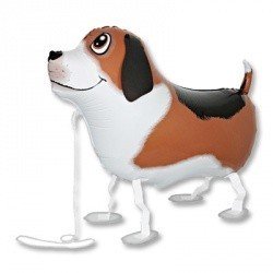 Шар ходячий Собака, Grabo