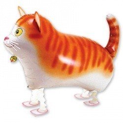 Шарик ходячий Кот