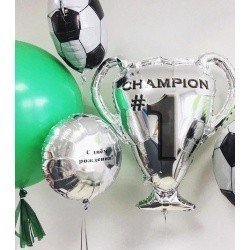 Готовое решение Поздравление маленькому чемпиону