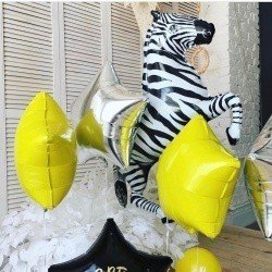 Готовое решение Зебра и звезды