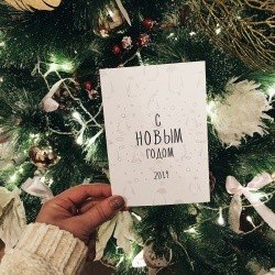 Открытка «Пингвины С Новым Годом 2019» 