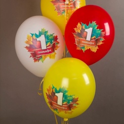 Облако шариков 1 Сентября 25 шт