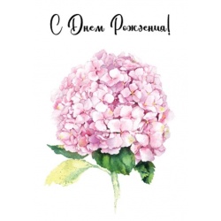 Открытка C Днем Рождения Гортензия