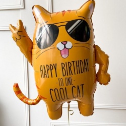 Шар фигура HB TO ONE COOL CAT Кот