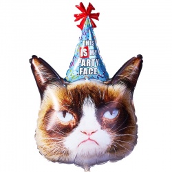 Шар фигура Сердитая Кошка в колпаке