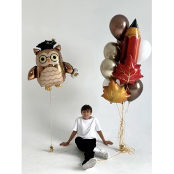 Готовое решение на 1 сентября с совой