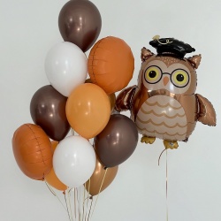 Готовое решение Мудрая сова