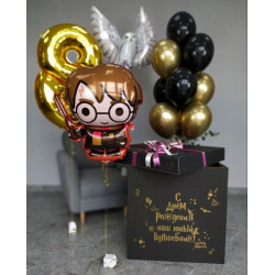 Коробка с шариками «Юный Гарри»