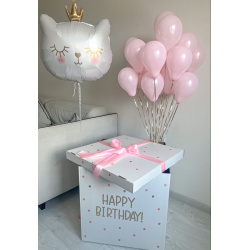 Коробка с шариками «Клубничный кот»